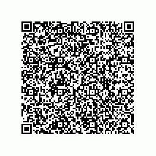 vCard 74985212710
