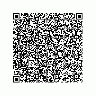 vCard 74985212711