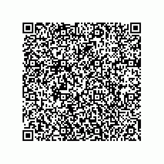 vCard 74985212713