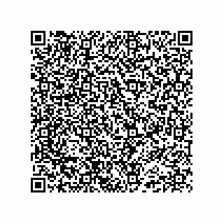 vCard 74985212721