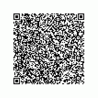 vCard 74985212728