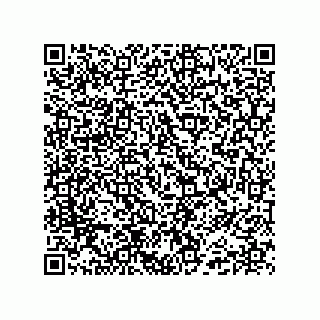 vCard 74985212729