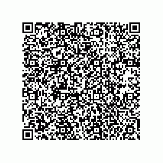 vCard 74985212731