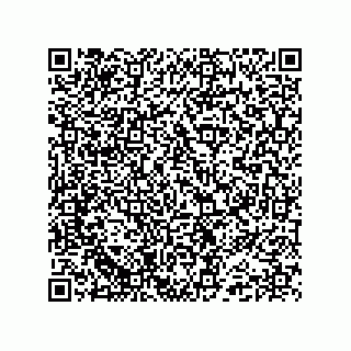 vCard 74985212732