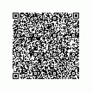 vCard 74985212733