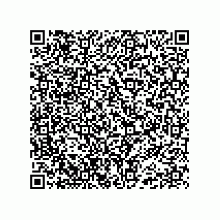 vCard 74985212735