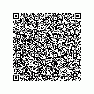 vCard 74985212738