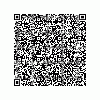 vCard 74985212739