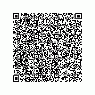 vCard 74985212741