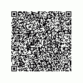 vCard 74985212747