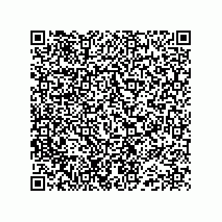 vCard 74985212779