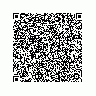vCard 74985212787