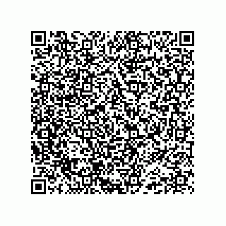 vCard 74985212792