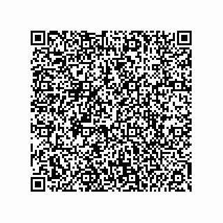 vCard 74985212794