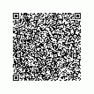 vCard 74985212795