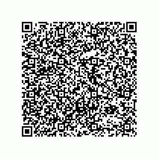 vCard 74985333734