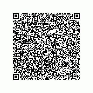 vCard 74985333800