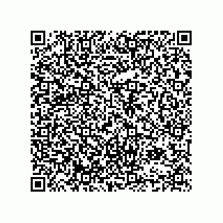 vCard 74985333824