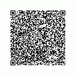 vCard 74985333856