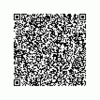vCard 74985333869