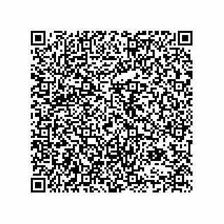 vCard 74985333913