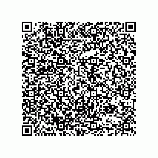 vCard 74985333953