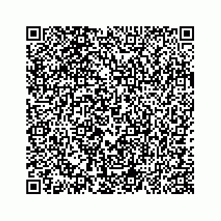 vCard 74985334645