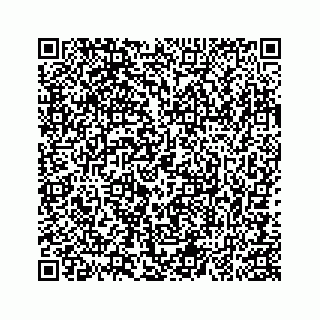 vCard 74985334673