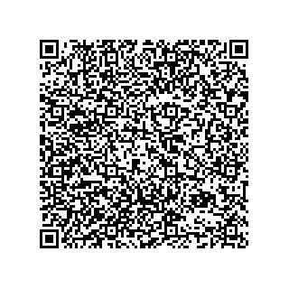 vCard 74985550020