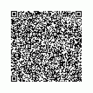 vCard 74985610099