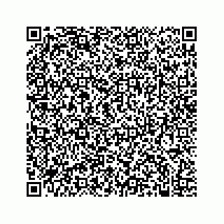 vCard 74985610304