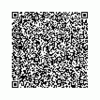 vCard 74985610379