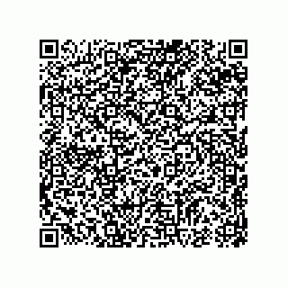 vCard 74985882111