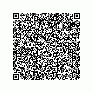vCard 74985882131