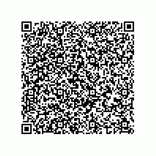 vCard 74985882200