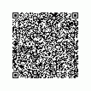 vCard 74985882331