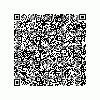 vCard 74985882381