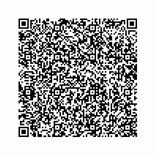 vCard 74986090131