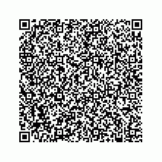 vCard 74986090353