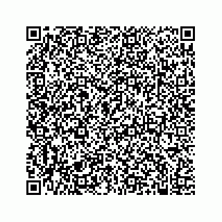 vCard 74986090373