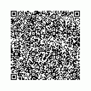 vCard 74986090381