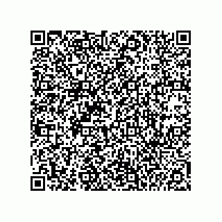 vCard 74986204739