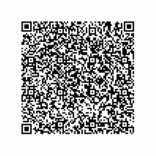 vCard 74986210093