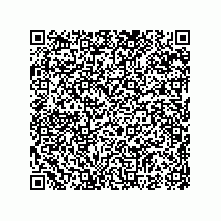 vCard 74986210381
