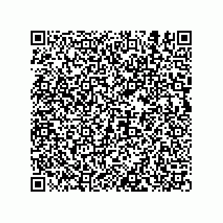 vCard 74986491311