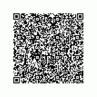 vCard 74986491331