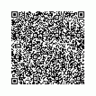vCard 74986534311