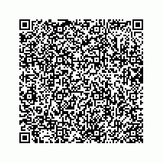 vCard 74986534313