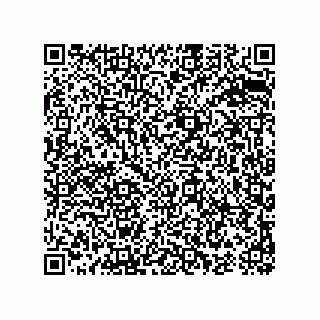 vCard 74987110002