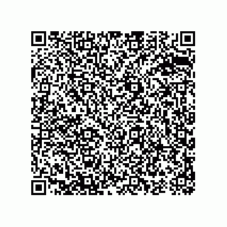 vCard 74987110161